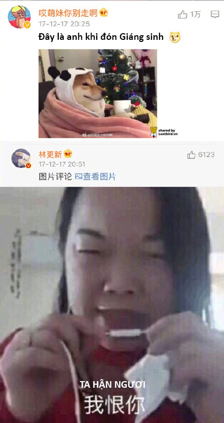Lâm Canh Tân: Rất thích 'buôn dưa' với fan, tự khen mình đẹp trai, ai chê xấu còn đòi report Weibo Lâm Canh Tân: Rất thích 'buôn dưa' với fan, tự khen mình đẹp trai, ai chê xấu còn đòi report Weibo