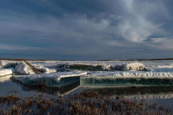 Zapovednik: Những khu bảo tồn tự nhiên trăm năm tuổi mà chính người Nga cũng ít biết Zapovednik: Những khu bảo tồn tự nhiên trăm năm tuổi mà chính người Nga cũng ít biết