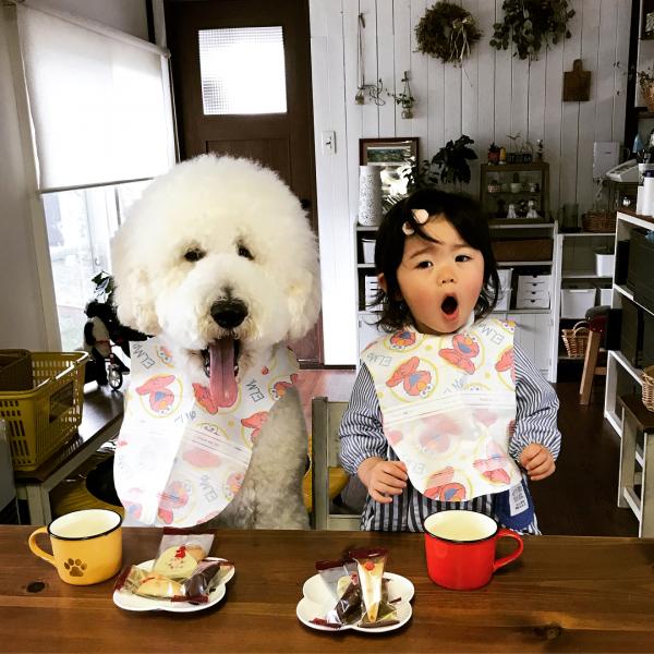 Tim rung rinh khi ngắm nhìn sự kết hợp siêu cấp đáng yêu giữa cô bé 2 tuổi tí hon và chó Poodle khổng lồ Tim rung rinh khi ngắm nhìn sự kết hợp siêu cấp đáng yêu giữa cô bé 2 tuổi tí hon và chó Poodle khổng lồ