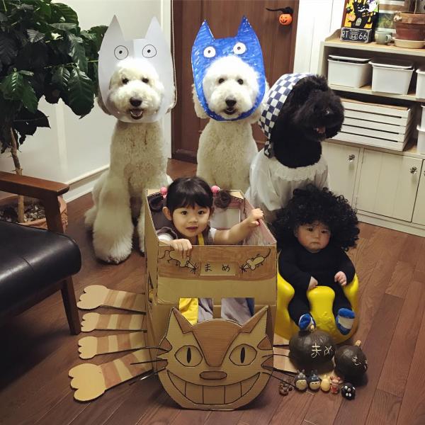 Tim rung rinh khi ngắm nhìn sự kết hợp siêu cấp đáng yêu giữa cô bé 2 tuổi tí hon và chó Poodle khổng lồ Tim rung rinh khi ngắm nhìn sự kết hợp siêu cấp đáng yêu giữa cô bé 2 tuổi tí hon và chó Poodle khổng lồ