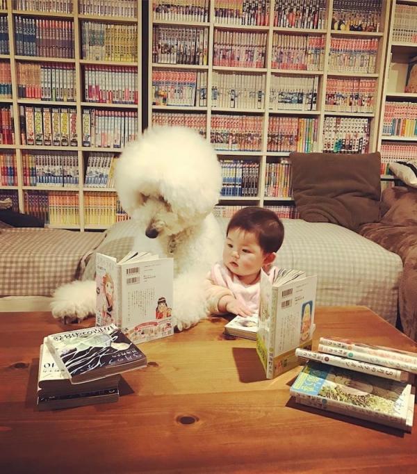 Tim rung rinh khi ngắm nhìn sự kết hợp siêu cấp đáng yêu giữa cô bé 2 tuổi tí hon và chó Poodle khổng lồ Tim rung rinh khi ngắm nhìn sự kết hợp siêu cấp đáng yêu giữa cô bé 2 tuổi tí hon và chó Poodle khổng lồ