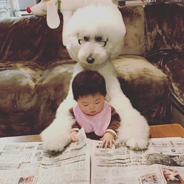 Tim rung rinh khi ngắm nhìn sự kết hợp siêu cấp đáng yêu giữa cô bé 2 tuổi tí hon và chó Poodle khổng lồ Tim rung rinh khi ngắm nhìn sự kết hợp siêu cấp đáng yêu giữa cô bé 2 tuổi tí hon và chó Poodle khổng lồ