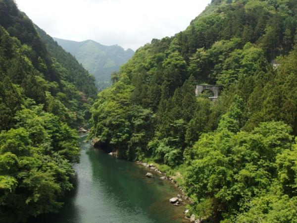 Người Nhật đang sẵn sàng 'cho không' nhiều căn nhà đẹp như mơ Người Nhật đang sẵn sàng 'cho không' nhiều căn nhà đẹp như mơ