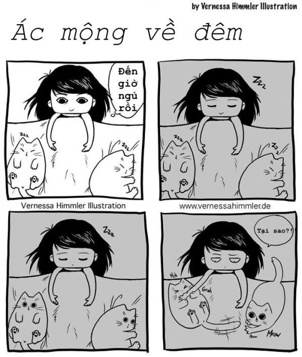 Bộ ảnh miêu tả chân thực cuộc sống của lũ mèo nhà bạn (P1) Bộ ảnh miêu tả chân thực cuộc sống của lũ mèo nhà bạn (P1)