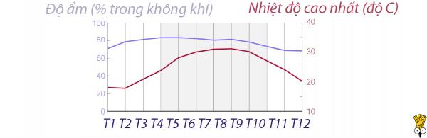 Khi tinh hoa ẩm thực châu Á tụ hội trong một chén trà thảo mộc Khi tinh hoa ẩm thực châu Á tụ hội trong một chén trà thảo mộc