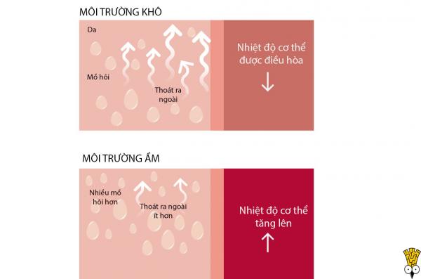 Khi tinh hoa ẩm thực châu Á tụ hội trong một chén trà thảo mộc Khi tinh hoa ẩm thực châu Á tụ hội trong một chén trà thảo mộc