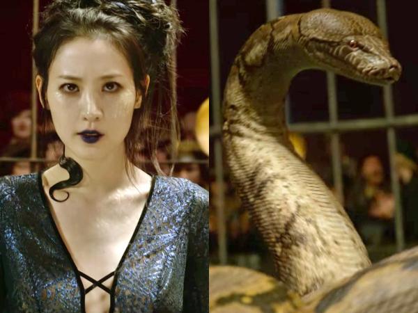 'Sinh Vật Huyền Bí: Tội Ác Của Grindelwald' sẽ liên kết với 'Harry Potter' theo cách nào? 'Sinh Vật Huyền Bí: Tội Ác Của Grindelwald' sẽ liên kết với 'Harry Potter' theo cách nào?