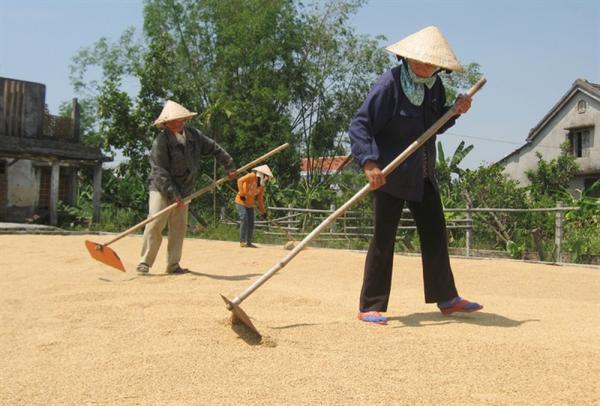 Già vẫn chưa giàu và bài toán nan giải cho chính người Việt Nam Già vẫn chưa giàu và bài toán nan giải cho chính người Việt Nam