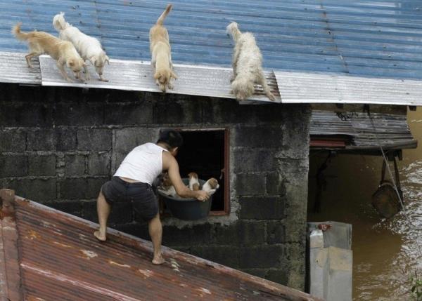 Những bức ảnh làm tan chảy trái tim của bất kì ai Những bức ảnh làm tan chảy trái tim của bất kì ai