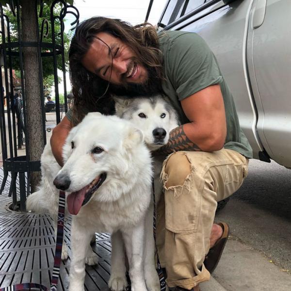 Ra mà xem Jason Momoa 'lầy lội' khi chọc ghẹo tất cả cặp đôi muốn chụp hình với mình Ra mà xem Jason Momoa 'lầy lội' khi chọc ghẹo tất cả cặp đôi muốn chụp hình với mình