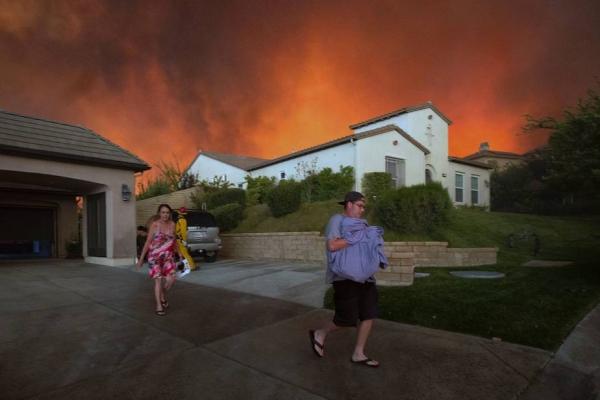 Động vật thảm thương sau khi được giải cứu khỏi đám cháy kinh hoàng ở California Động vật thảm thương sau khi được giải cứu khỏi đám cháy kinh hoàng ở California