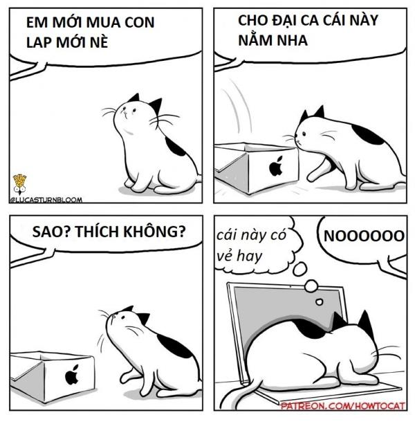 Chuyện tình giữa Đại Boss và Tiểu Sen cùng cái kết 'ngược tâm' không thể cứu vãn Chuyện tình giữa Đại Boss và Tiểu Sen cùng cái kết 'ngược tâm' không thể cứu vãn