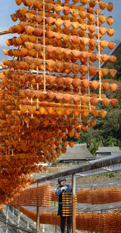 Du lịch Nhật Bản mùa này hãy nhớ để ý chiêm ngưỡng những 'mành treo hồng sấy' Du lịch Nhật Bản mùa này hãy nhớ để ý chiêm ngưỡng những 'mành treo hồng sấy'