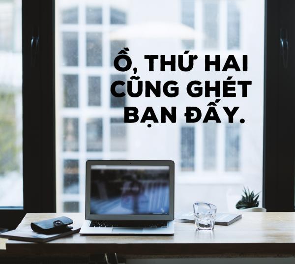 Tuyển tập những câu quote 'tụt hết cả hứng' kéo bạn về với hiện thực phũ phàng Tuyển tập những câu quote 'tụt hết cả hứng' kéo bạn về với hiện thực phũ phàng