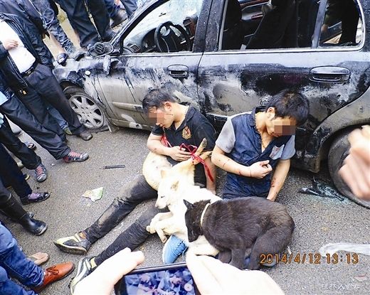 Trung Quốc: Thành phố ban lệnh cấm nuôi chó, hội yêu thú cưng lo ngại chỉ là cái cớ tiêu diệt chó lang thang Trung Quốc: Thành phố ban lệnh cấm nuôi chó, hội yêu thú cưng lo ngại chỉ là cái cớ tiêu diệt chó lang thang