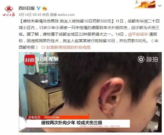 Trung Quốc: Thành phố ban lệnh cấm nuôi chó, hội yêu thú cưng lo ngại chỉ là cái cớ tiêu diệt chó lang thang Trung Quốc: Thành phố ban lệnh cấm nuôi chó, hội yêu thú cưng lo ngại chỉ là cái cớ tiêu diệt chó lang thang
