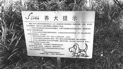 Trung Quốc: Thành phố ban lệnh cấm nuôi chó, hội yêu thú cưng lo ngại chỉ là cái cớ tiêu diệt chó lang thang Trung Quốc: Thành phố ban lệnh cấm nuôi chó, hội yêu thú cưng lo ngại chỉ là cái cớ tiêu diệt chó lang thang