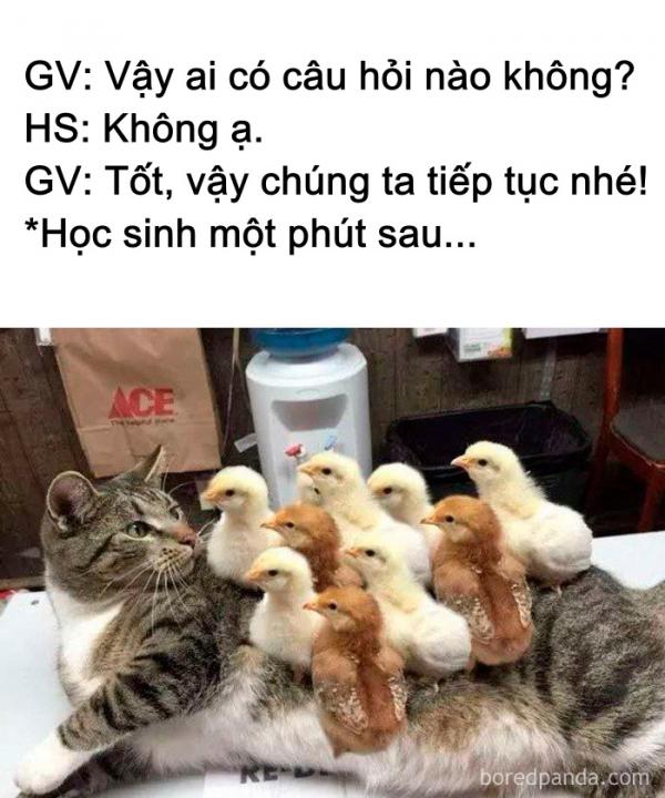 Những nỗi niềm mà chỉ có người làm nghề giáo mới thấm thía Những nỗi niềm mà chỉ có người làm nghề giáo mới thấm thía