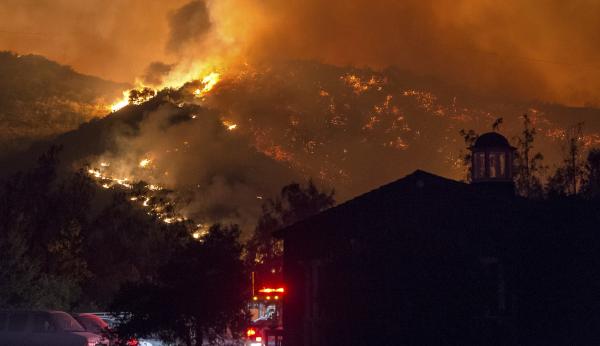 Chú chó bị bỏ rơi trong trận cháy rừng California bỏng nặng do kiên trì bảo vệ nhà hàng xóm Chú chó bị bỏ rơi trong trận cháy rừng California bỏng nặng do kiên trì bảo vệ nhà hàng xóm