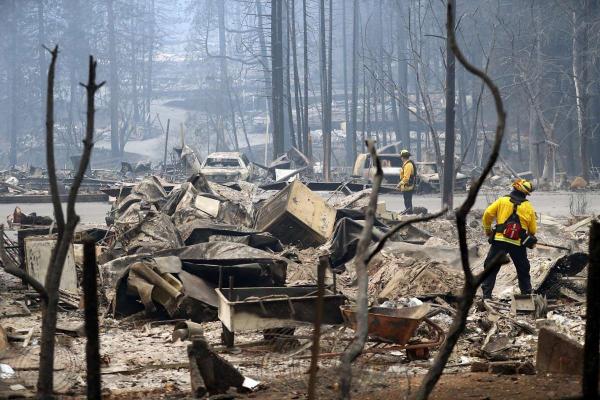 Chú chó bị bỏ rơi trong trận cháy rừng California bỏng nặng do kiên trì bảo vệ nhà hàng xóm Chú chó bị bỏ rơi trong trận cháy rừng California bỏng nặng do kiên trì bảo vệ nhà hàng xóm