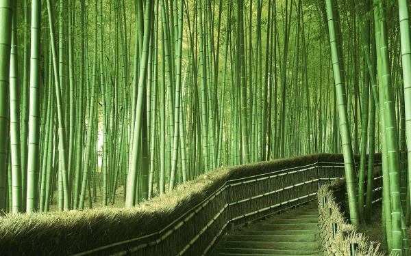 16 địa điểm 'bồng lai tiên cảnh' của Nhật Bản có thể bạn chưa biết 16 địa điểm 'bồng lai tiên cảnh' của Nhật Bản có thể bạn chưa biết