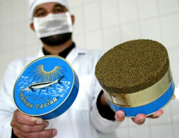 20 sự thật thú vị về nước Iran: Tặng quà phải từ chối 3 lần mới được nhận, Internet bị chính phủ kiểm soát 20 sự thật thú vị về nước Iran: Tặng quà phải từ chối 3 lần mới được nhận, Internet bị chính phủ kiểm soát