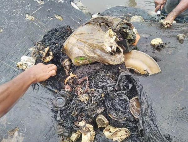Hàng nghìn mảnh rác thải gây ra cái chết thảm thương cho cá voi tại Indonesia Hàng nghìn mảnh rác thải gây ra cái chết thảm thương cho cá voi tại Indonesia