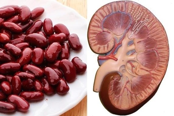 10 loại quả có hình dáng như ‘chị em song sinh’ với các bộ phận cơ thể người 10 loại quả có hình dáng như ‘chị em song sinh’ với các bộ phận cơ thể người