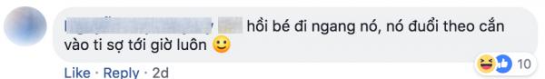 Tuổi thơ ai đã từng bị ngỗng đuổi đến lên bờ xuống ruộng? Tuổi thơ ai đã từng bị ngỗng đuổi đến lên bờ xuống ruộng?