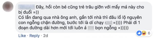 Tuổi thơ ai đã từng bị ngỗng đuổi đến lên bờ xuống ruộng? Tuổi thơ ai đã từng bị ngỗng đuổi đến lên bờ xuống ruộng?