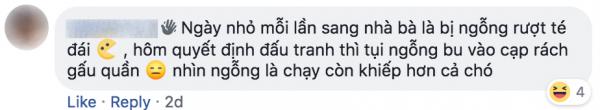 Tuổi thơ ai đã từng bị ngỗng đuổi đến lên bờ xuống ruộng? Tuổi thơ ai đã từng bị ngỗng đuổi đến lên bờ xuống ruộng?
