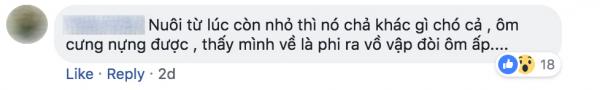 Tuổi thơ ai đã từng bị ngỗng đuổi đến lên bờ xuống ruộng? Tuổi thơ ai đã từng bị ngỗng đuổi đến lên bờ xuống ruộng?