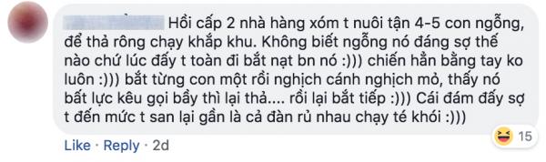 Tuổi thơ ai đã từng bị ngỗng đuổi đến lên bờ xuống ruộng? Tuổi thơ ai đã từng bị ngỗng đuổi đến lên bờ xuống ruộng?