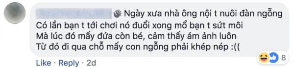 Tuổi thơ ai đã từng bị ngỗng đuổi đến lên bờ xuống ruộng? Tuổi thơ ai đã từng bị ngỗng đuổi đến lên bờ xuống ruộng?