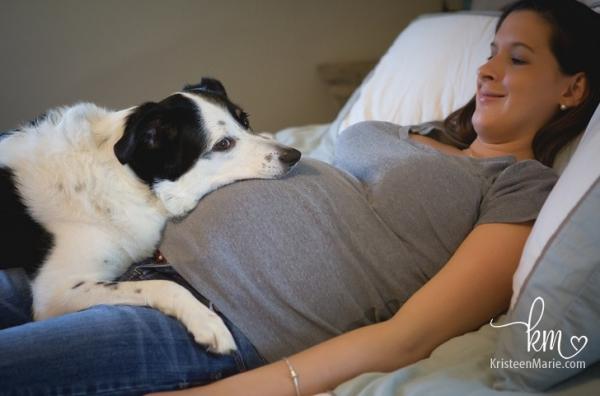 20 tấm hình tình cảm khi thú cưng mong ngóng 'sen nhí' chào đời 20 tấm hình tình cảm khi thú cưng mong ngóng 'sen nhí' chào đời