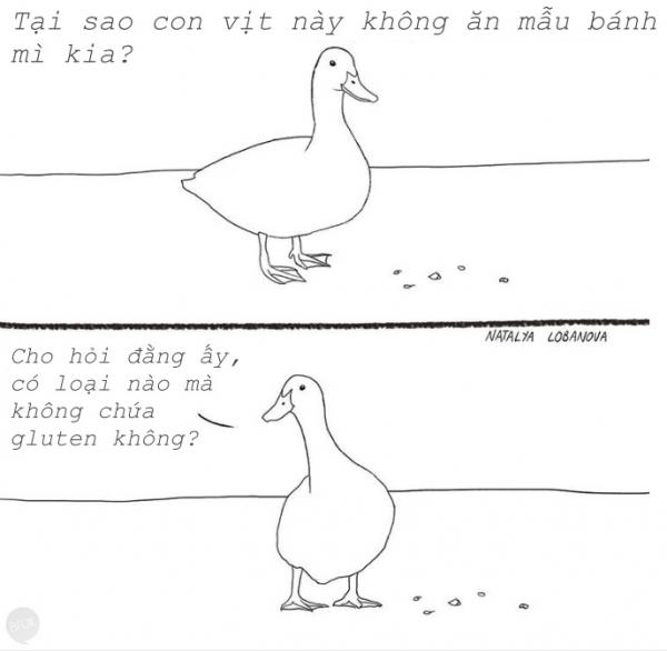 Bộ tranh vui: Con người là một loài mâu thuẫn thế nên mới có những chuyện tréo ngoe thế này đây Bộ tranh vui: Con người là một loài mâu thuẫn thế nên mới có những chuyện tréo ngoe thế này đây