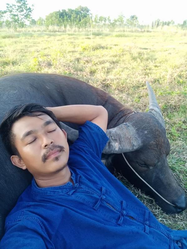 Tình bạn dễ thương 'có ruộng cùng cày, có điện thoại cùng selfie' giữa anh nông dân và trâu cưng Tình bạn dễ thương 'có ruộng cùng cày, có điện thoại cùng selfie' giữa anh nông dân và trâu cưng