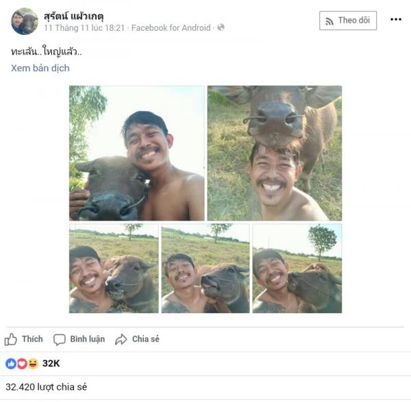 Tình bạn dễ thương 'có ruộng cùng cày, có điện thoại cùng selfie' giữa anh nông dân và trâu cưng Tình bạn dễ thương 'có ruộng cùng cày, có điện thoại cùng selfie' giữa anh nông dân và trâu cưng