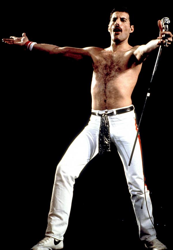 Suýt nữa đã có bài song ca kinh điển giữa Freddie Mercury và Michael Jackson nếu không vì... một con llama Suýt nữa đã có bài song ca kinh điển giữa Freddie Mercury và Michael Jackson nếu không vì... một con llama
