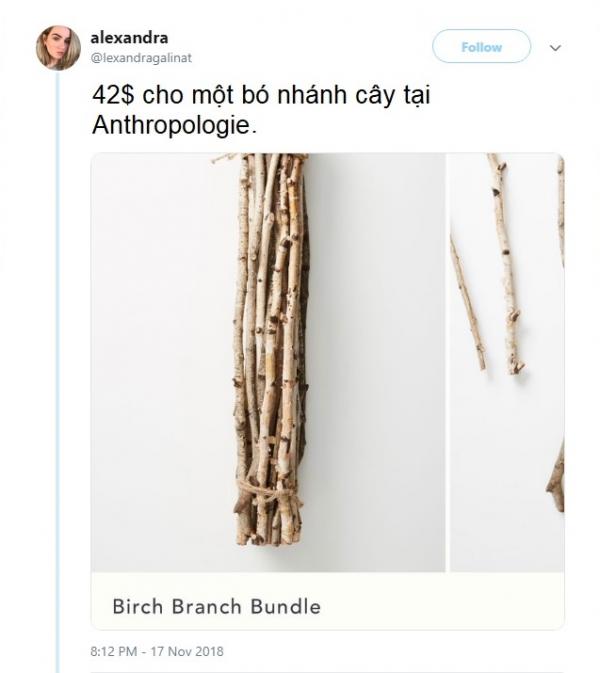 Anthropologie bị chế nhạo vì bán bó cây khô 'nhặt đại ngoài đường cũng có' với giá 1 triệu đồng Anthropologie bị chế nhạo vì bán bó cây khô 'nhặt đại ngoài đường cũng có' với giá 1 triệu đồng