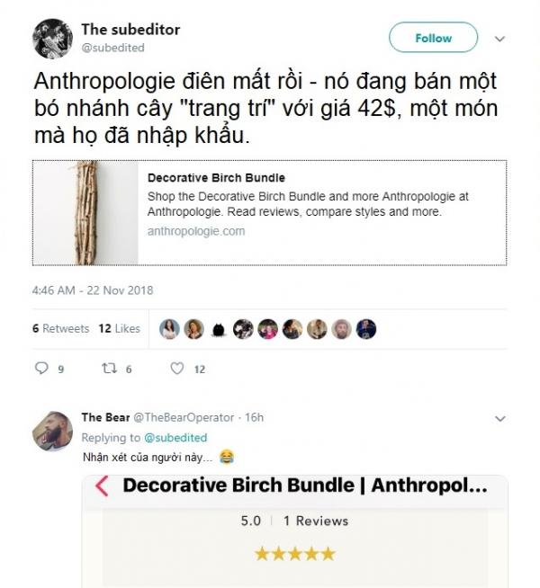 Anthropologie bị chế nhạo vì bán bó cây khô 'nhặt đại ngoài đường cũng có' với giá 1 triệu đồng Anthropologie bị chế nhạo vì bán bó cây khô 'nhặt đại ngoài đường cũng có' với giá 1 triệu đồng