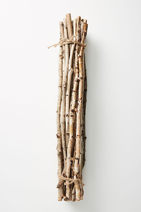 Anthropologie bị chế nhạo vì bán bó cây khô 'nhặt đại ngoài đường cũng có' với giá 1 triệu đồng Anthropologie bị chế nhạo vì bán bó cây khô 'nhặt đại ngoài đường cũng có' với giá 1 triệu đồng