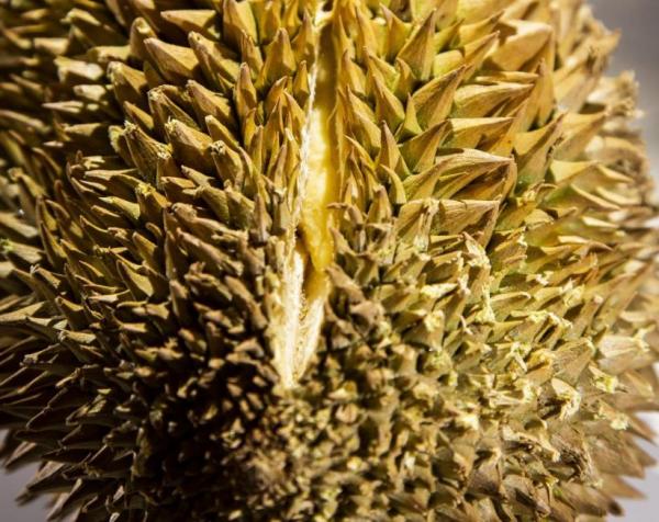 Thuỵ Điển mở cửa bảo tàng các món ăn 'nhìn là muốn nôn': Riêng Việt Nam đã có 4 món 'trình làng' Thuỵ Điển mở cửa bảo tàng các món ăn 'nhìn là muốn nôn': Riêng Việt Nam đã có 4 món 'trình làng'