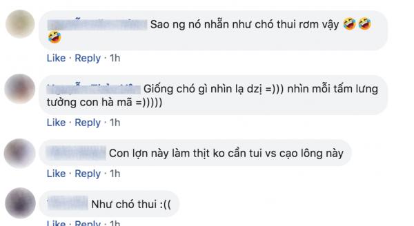 'Boss' bị 'sen' bắt mặc đồ ngủ rêu rao khắp nơi, cộng đồng mạng thắc mắc: Là chó hay heo? 'Boss' bị 'sen' bắt mặc đồ ngủ rêu rao khắp nơi, cộng đồng mạng thắc mắc: Là chó hay heo?