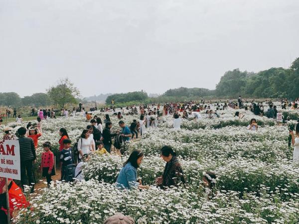 Bộ ảnh 'chàng thơ' e ấp bên cúc họa mi khiến cư dân mạng một phen... hết hồn Bộ ảnh 'chàng thơ' e ấp bên cúc họa mi khiến cư dân mạng một phen... hết hồn