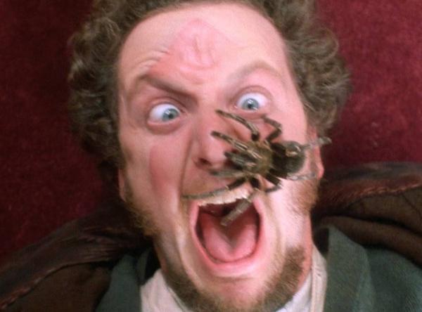 Series 'Home Alone' đình đám một thời và những chuyện đến bây giờ mới kể Series 'Home Alone' đình đám một thời và những chuyện đến bây giờ mới kể
