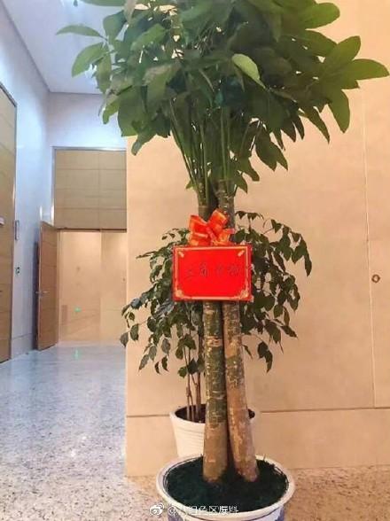 Sao Trung cười ngất với quà từ 'fan nghèo': Đặng Luân và bánh nướng, Trần Vỹ Đình ăn no rau, nấm Sao Trung cười ngất với quà từ 'fan nghèo': Đặng Luân và bánh nướng, Trần Vỹ Đình ăn no rau, nấm