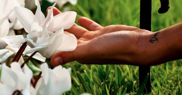 Cứ tưởng con người chỉ có 5 giác quan nhưng thực ra chúng ta có đến tận 18 giác quan cơ Cứ tưởng con người chỉ có 5 giác quan nhưng thực ra chúng ta có đến tận 18 giác quan cơ