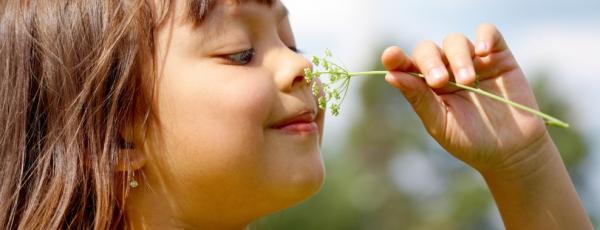 Cứ tưởng con người chỉ có 5 giác quan nhưng thực ra chúng ta có đến tận 18 giác quan cơ Cứ tưởng con người chỉ có 5 giác quan nhưng thực ra chúng ta có đến tận 18 giác quan cơ
