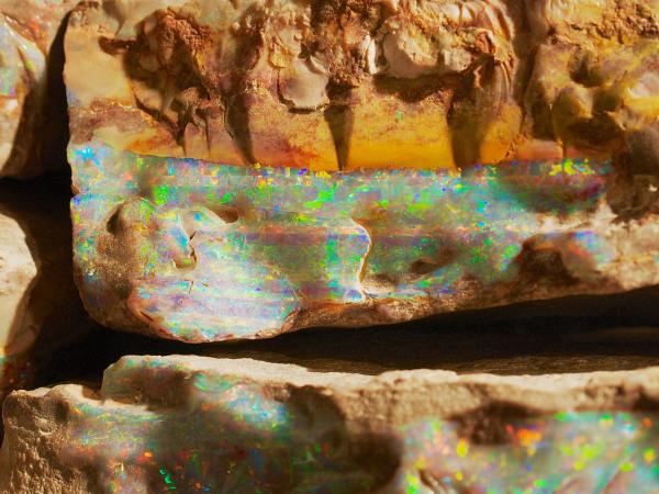 Đá quý ở mỏ đá opal Úc là hóa thạch của một loài khủng long chưa từng biết đến Đá quý ở mỏ đá opal Úc là hóa thạch của một loài khủng long chưa từng biết đến